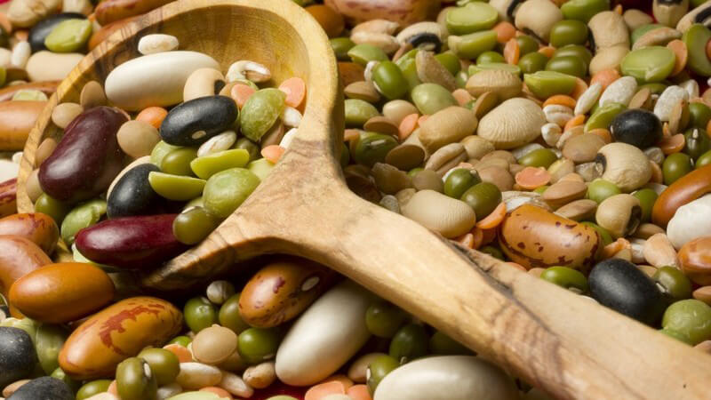 Verschiedene Bohnen und Linsen, darin Kochlöffel aus Holz