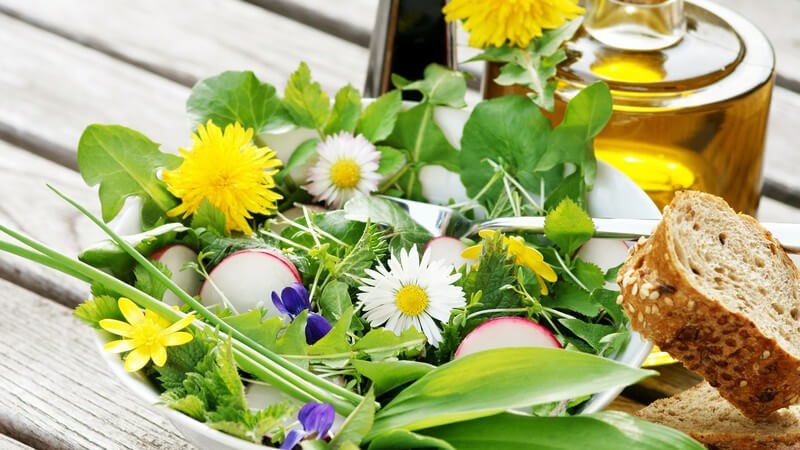 Kleiner Salat aus frischen Zutaten wie Löwenzahn, Radieschen und Kamille, daneben Öl und Brot