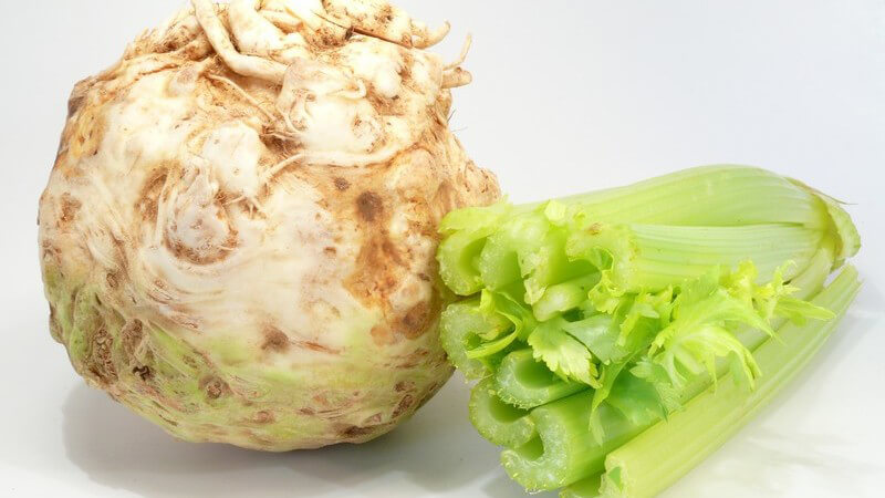 Sellerierübe auf weißem Hintergrund