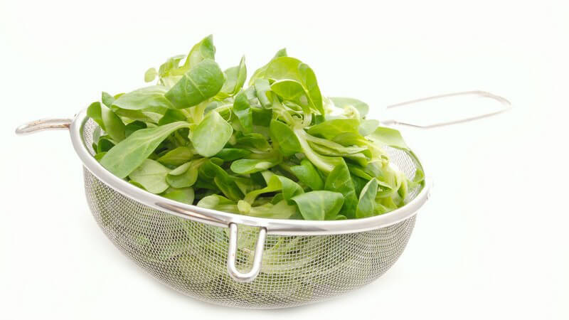 Frischer Feldsalat in Sieb auf weißem Hintergrund