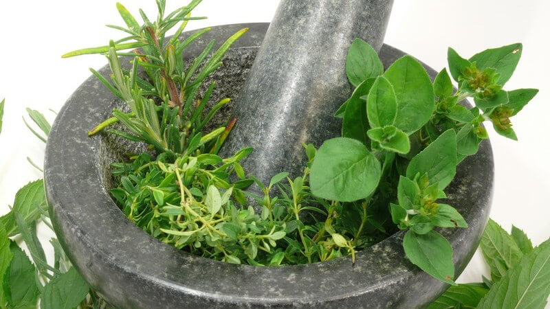 Grüne Kräuter in Marmor-Mörser
