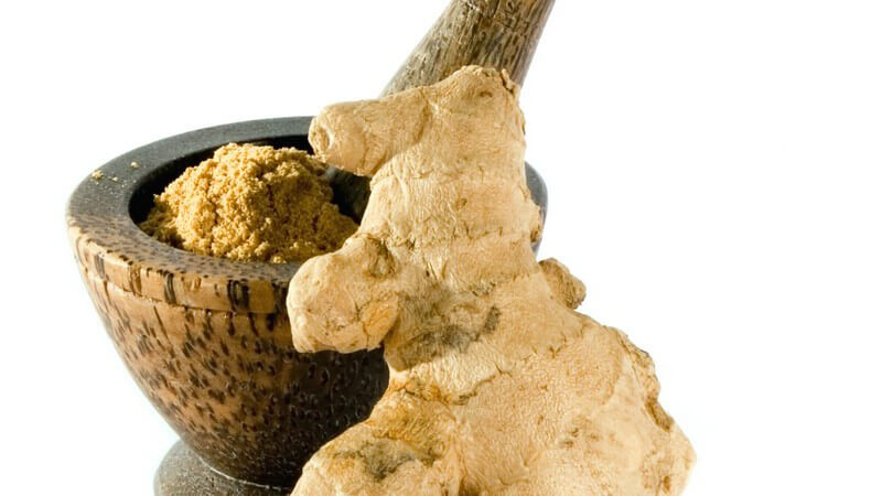 Ingwer Wurzel an Mörserschale mit Ingwerpulver gelehnt