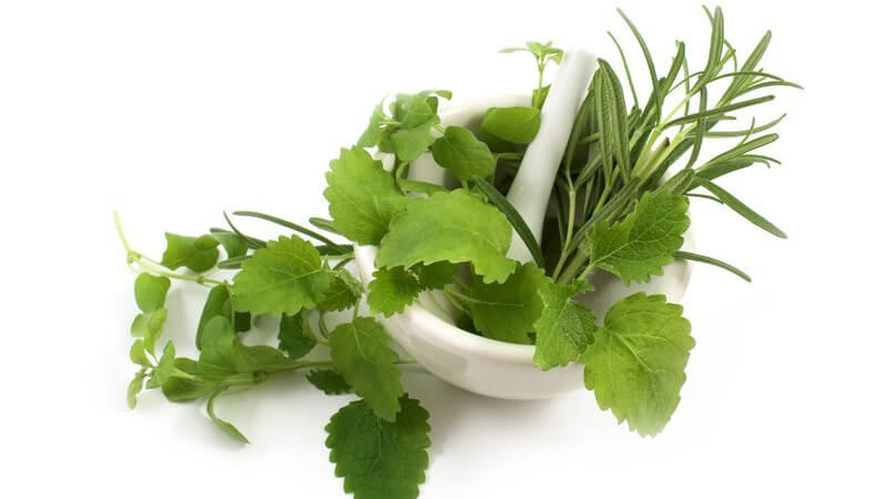 Grüne Kräuter neben und in weißem Porzellan Mörser