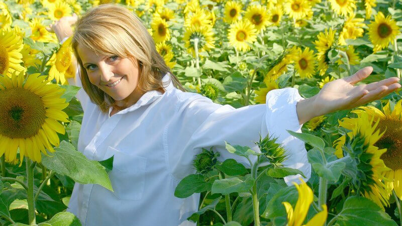 Junge Frau im Sonnenblumenfeld