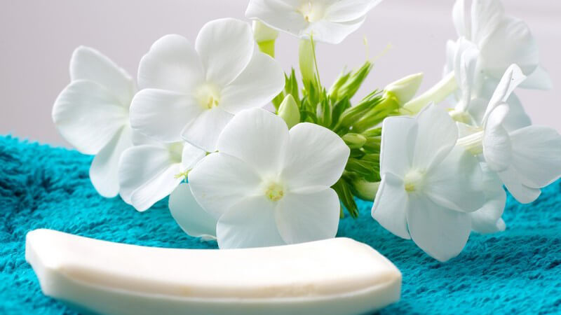 Weiße Blumen und ein Stück Seife auf türkisem Untergrund