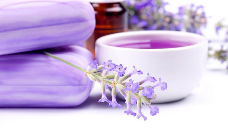 Lavendelseife, -pflanze und -auszug, weißer Hintergrund