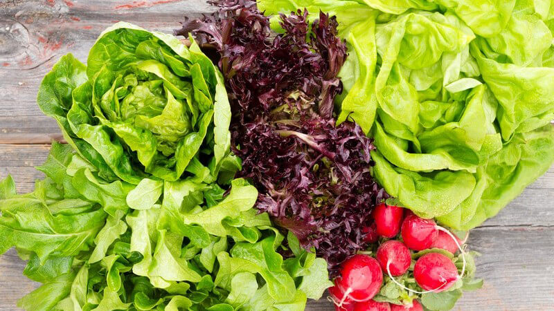 Grüner und roter Blattsalat neben Radieschen auf grauem Holztisch