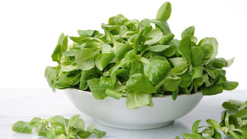 Feldsalat in weißer Schüssel und davor auf weißem Hintergrund