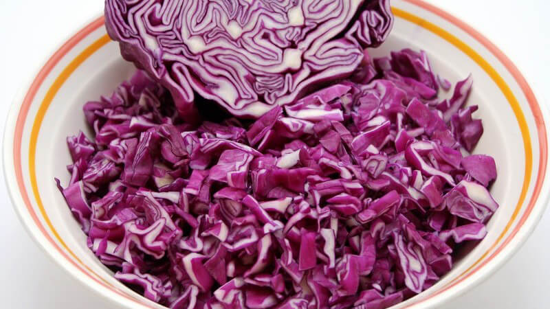Frischer roher Rotkohl in Schüssel, weißer Hintergrund
