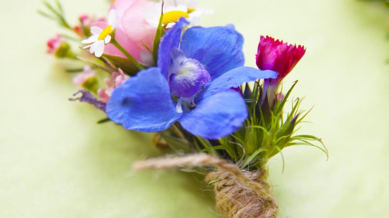 Bunter Ansteckstrauß aus verschiedenen Ansteckblumen, mit einer Kordel zusammengebunden