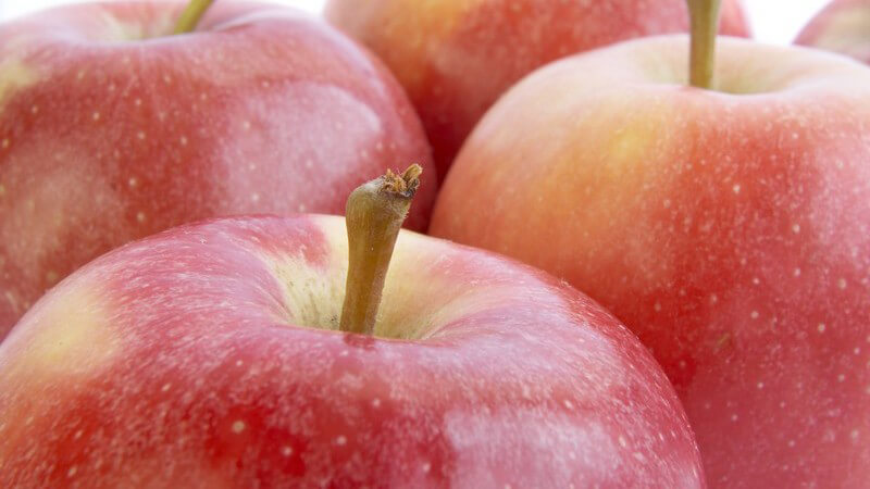 Nahaufnahme Auswahl an roten Äpfeln