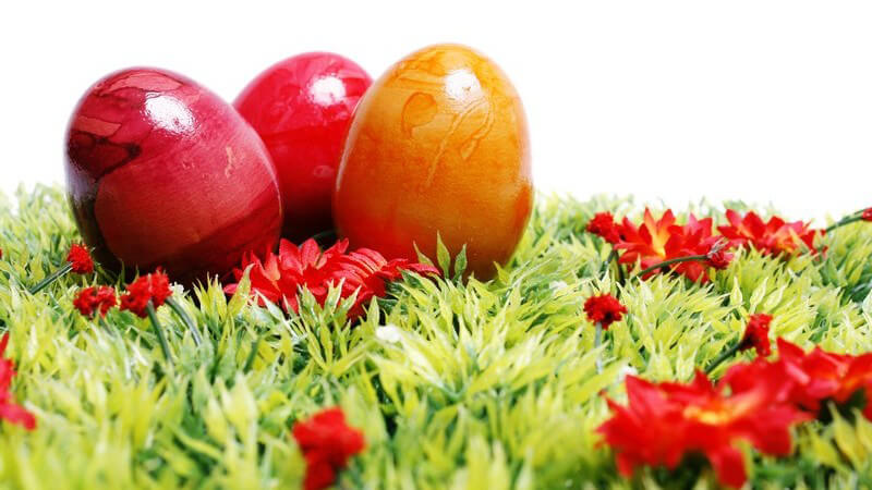 Drei Ostereier (zwei rote, ein gelbes) auf einer Wiese mit roten Blüten