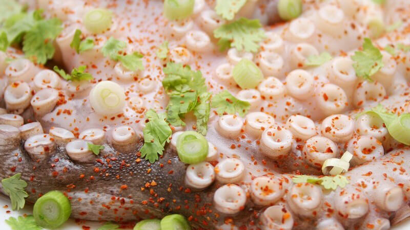 Nahaufnahme zubereitete Krake