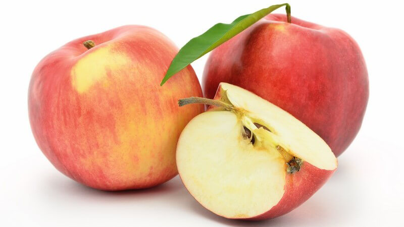 Äpfel der Sorte "Jonagold" vor weißem Hintergrund