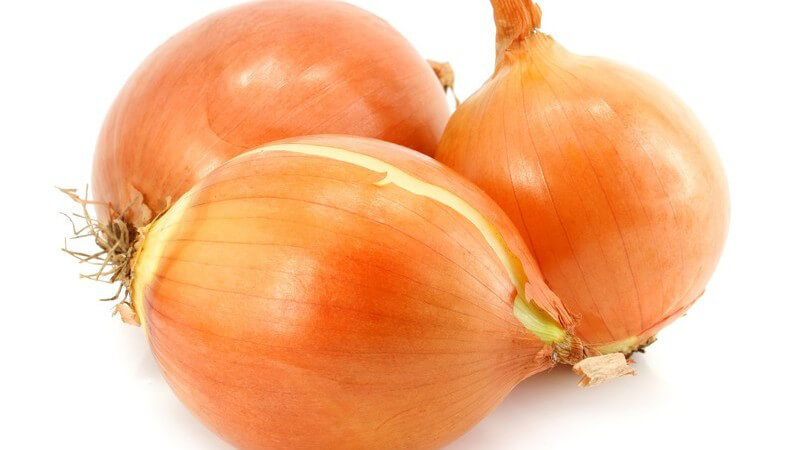 Drei Zwiebeln auf weißem Hintergrund