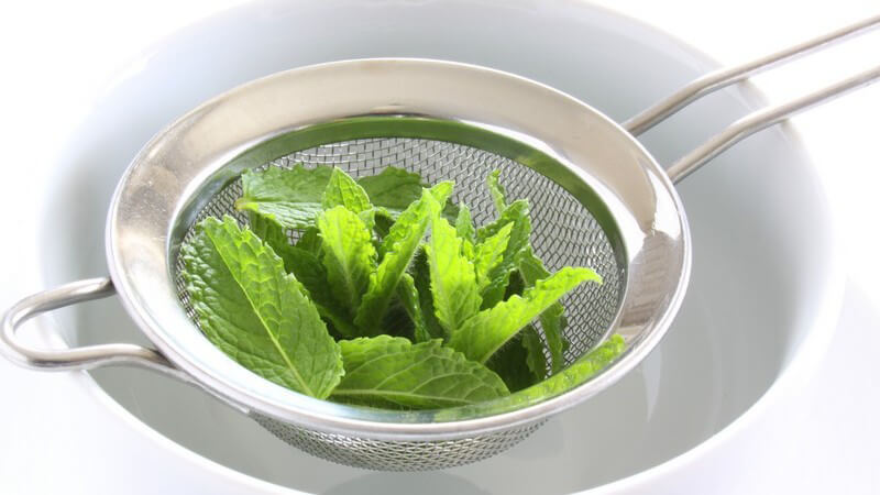 Frische Minze in kleinem Sieb über Becher