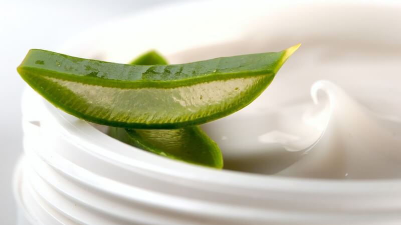 Nahaufnahme offene Dose mit Creme, darauf zwei Scheiben Aloe Vera