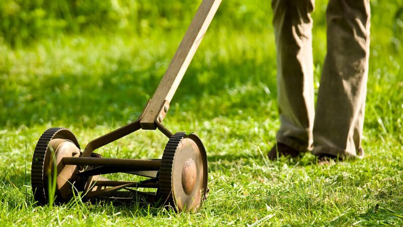 Rasen wird mit altmodischem Rasenmäher gemäht
