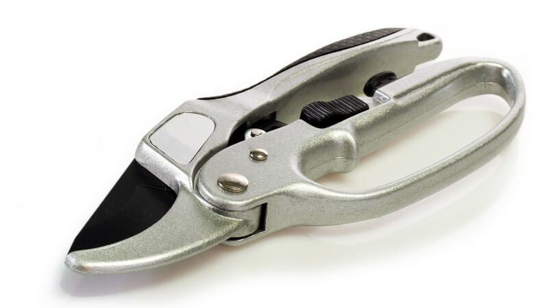 Gartenschere aus Edelstahl auf weißem Hintergrund