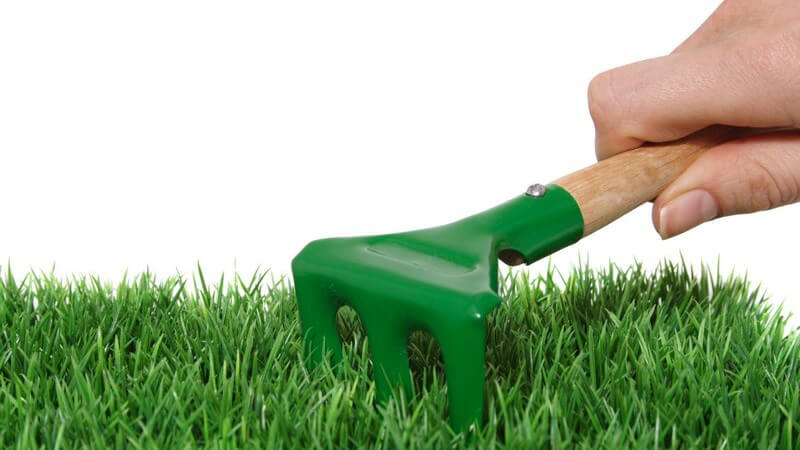 Nahaufnahme kleine Harke im Rasen, weißer Hintergrund