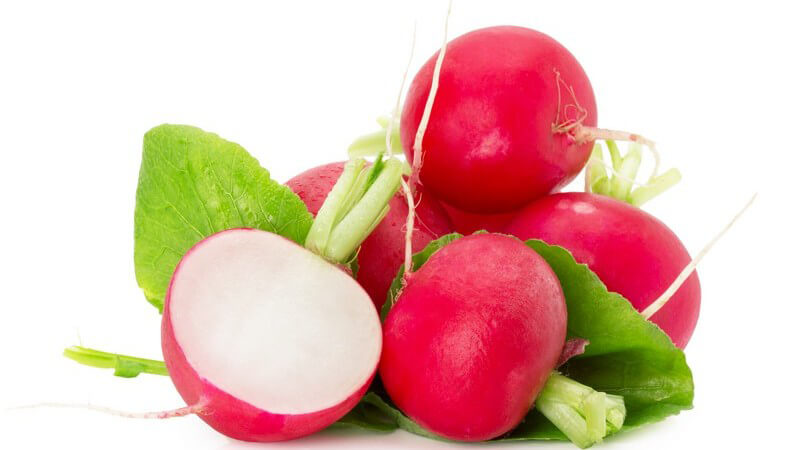 Radieschen mit Grünzeug vor weißem Hintergrund