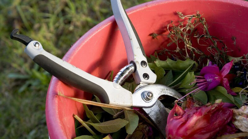 Gartenschere liegt auf Pflanzenresten in Eimer