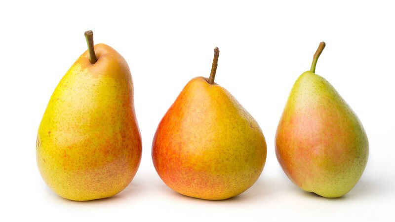 Drei Birnen der Sorten Isolda, Radana und Dessertnaja vor weißem Hintergrund