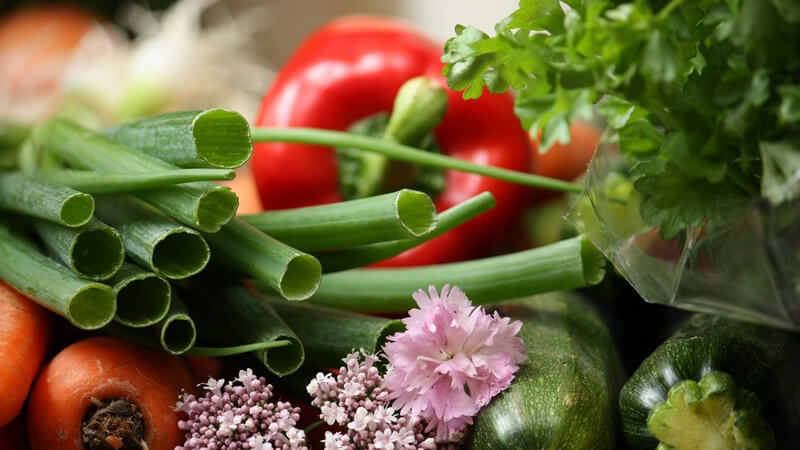 Verschiedene Gemüsesorten und Kräuter