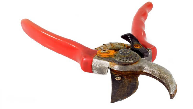 Verrostete Gartenschere auf weißem Hintergrund