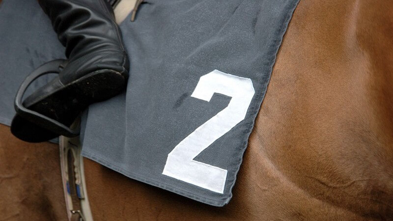 Pferderennen, Pferd mit Startnummer 2