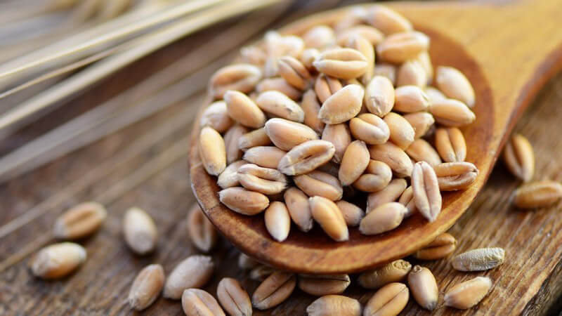 Getreide, Weizenkörner auf Holzlöffel