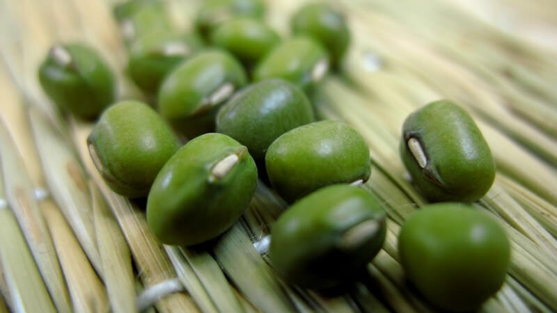 Nahaufnahmen Mungobohnen