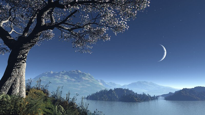 Skandinavien bei Nacht - Baum am See, dahinter Berge, Mondlicht und Sternenhimmel