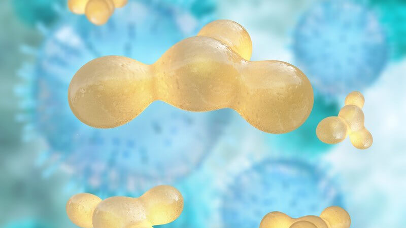 3-D-Grafik mit einzelnen gelben Fettzellen, schwebend vor blauem Hintergrund