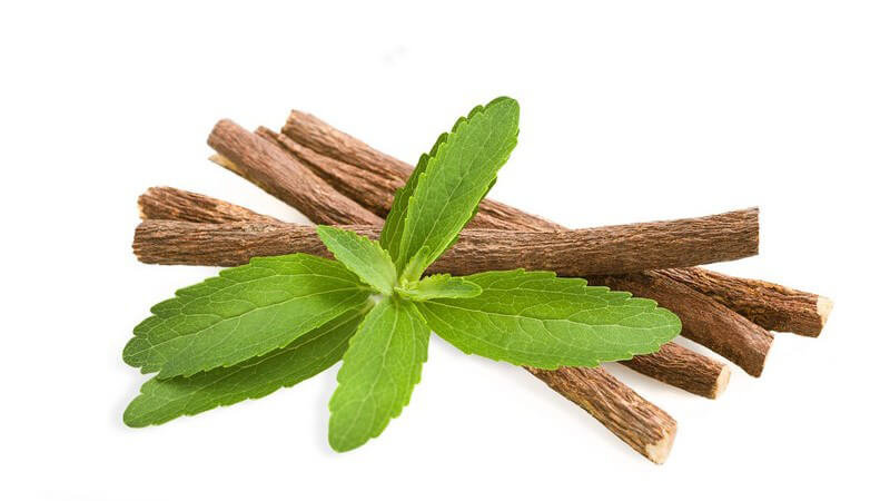 Blätter und Stängel der Stevia  auf weißem Hintergrund