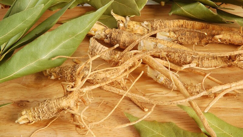 Wurzeln und Lorbeer Blätter auf Holzboden