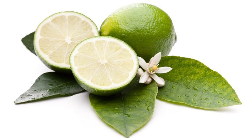 Aufgeschnittene und ganze Limette auf Blättern mit Blüte auf weißem Hintergrund