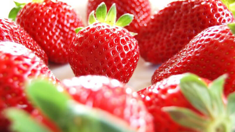 Nahaufnahme von mehreren kreisförmig angeordneten hellroten Erdbeeren