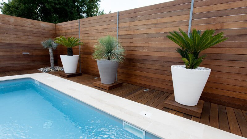 Großer Pool umgeben von dunklem Holzboden, Pflanzkübeln und hohem Holzzaun