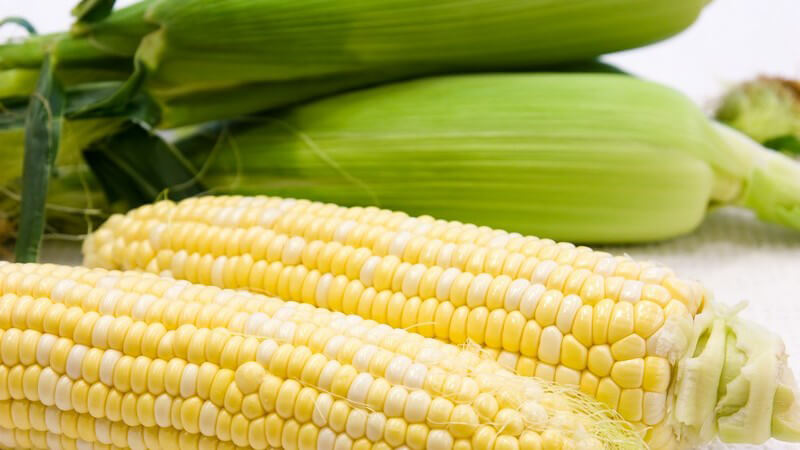 Nahaufnahme Maiskolben