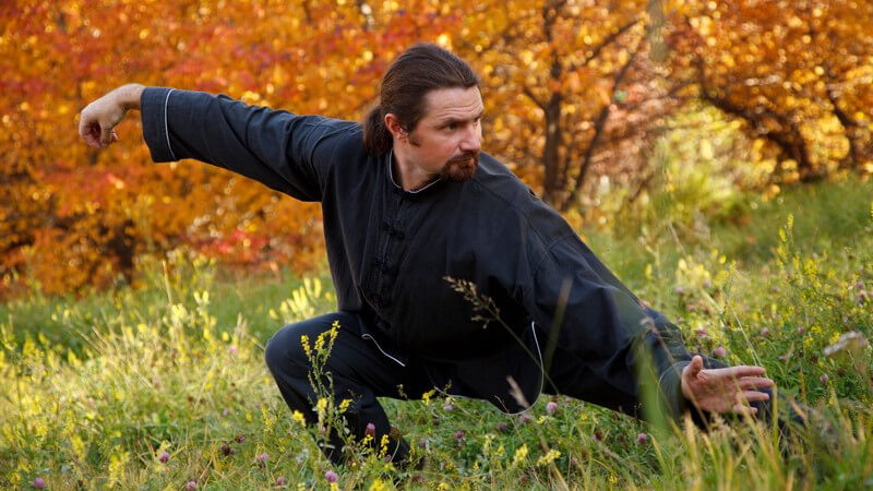 Mann mit Bart und Pferdeschwanz beim Tai Chi auf einer Wiese