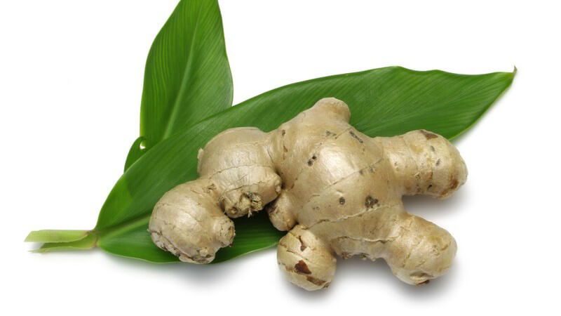 Ingwer Wurzel auf grünem Blatt, weißer Hintergrund