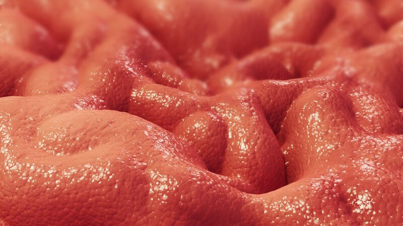 Grafik Magenschleimhaut, rötlich