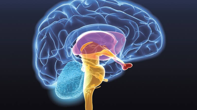 Grafik Gehirn auf schwarzem Hintergrund