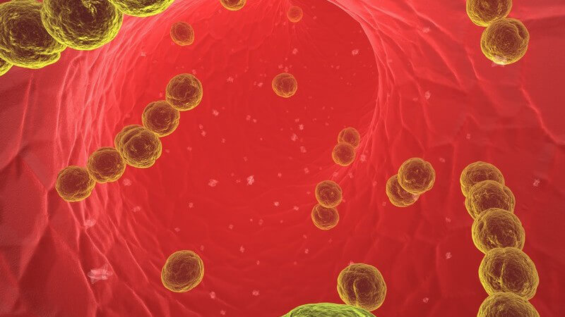 Grafik Streptokokken im Blut