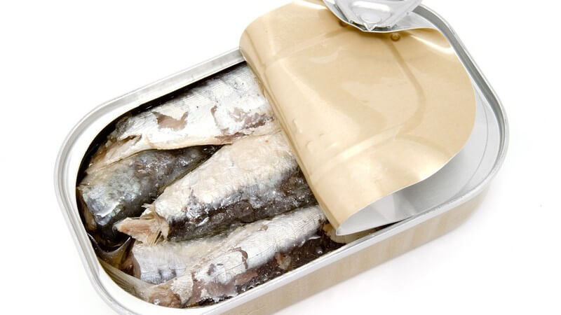 Heringe in halb geöffneter Dose auf weißem Hintergrund