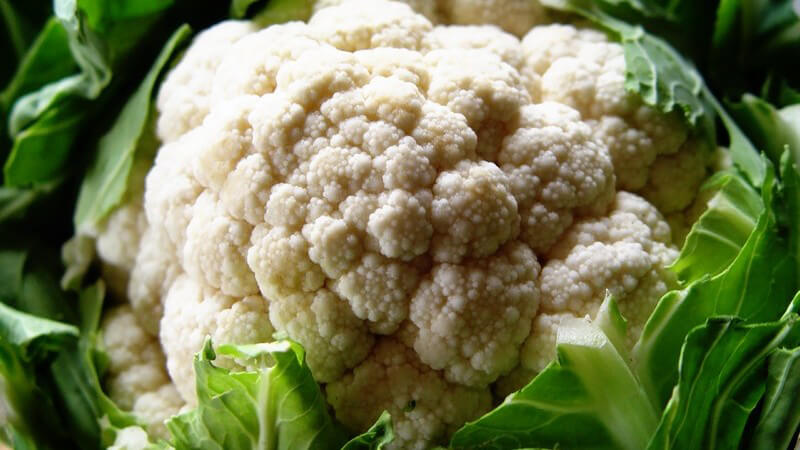 Nahaufnahme frischer Blumenkohl