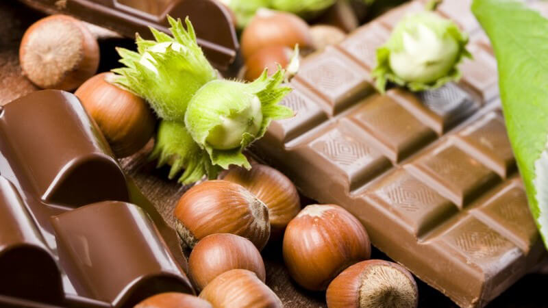 Tafeln Schokolade zwischen ganzen Haselnüssen