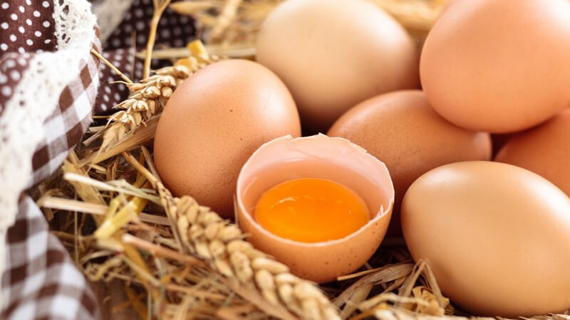 Braune Eier im Getreide, ein Ei ist offen