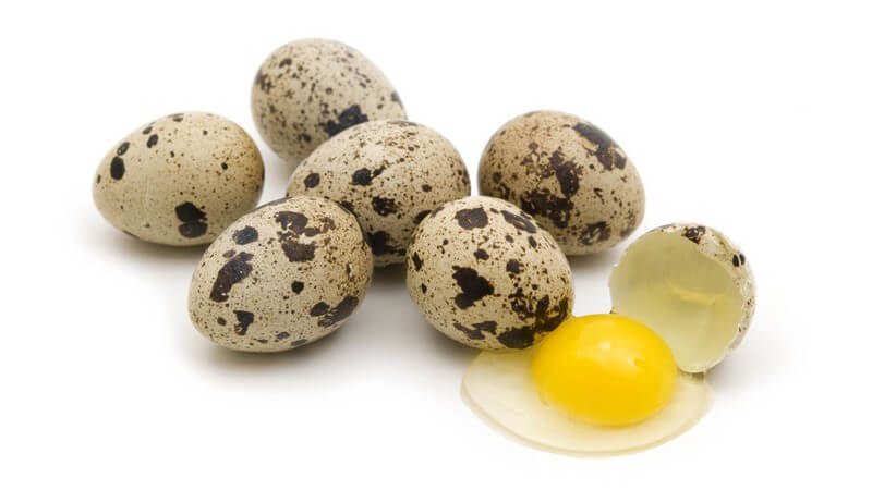 Wachteleier, eins aufgeschlagen, auf weißem Hintergrund